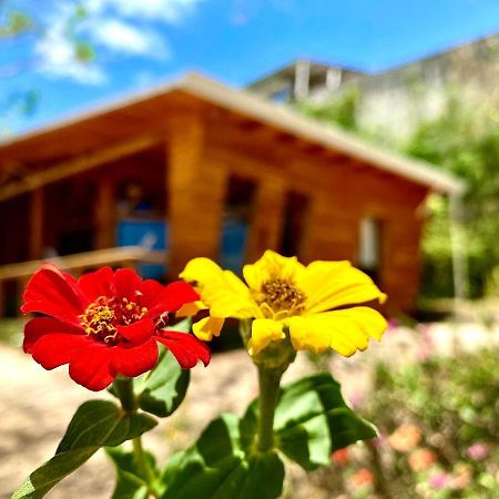 Hoja Azul Villa Hojancha Dış mekan fotoğraf