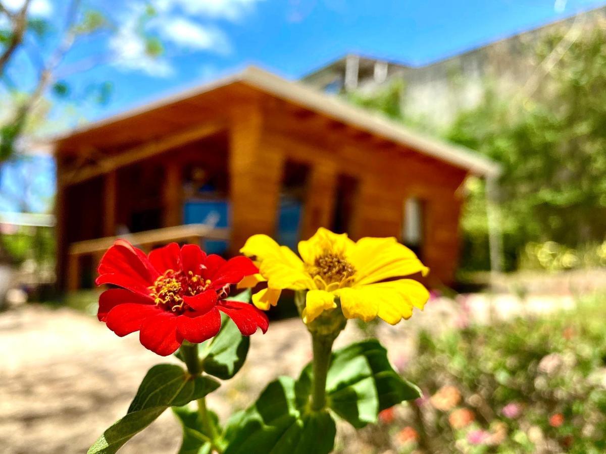 Hoja Azul Villa Hojancha Dış mekan fotoğraf