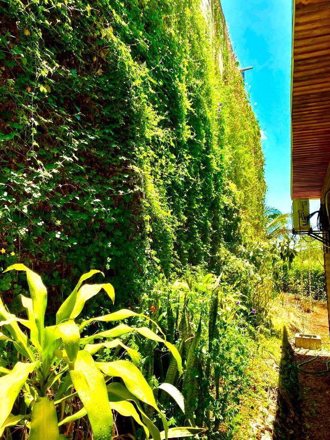 Hoja Azul Villa Hojancha Dış mekan fotoğraf